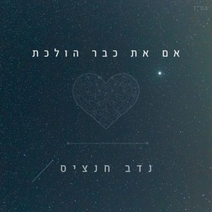 נדב חנציס