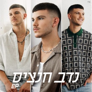 נדב חנציס