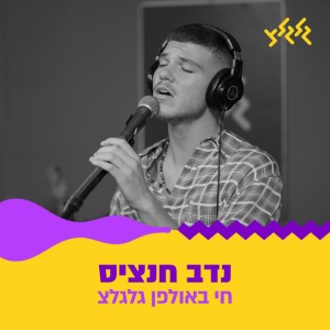 נדב חנציס