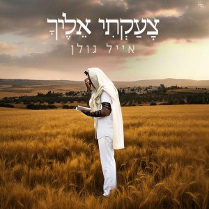 אייל גולן