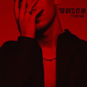 ששון איפרם שאולוב ששון איפרם שאולוב