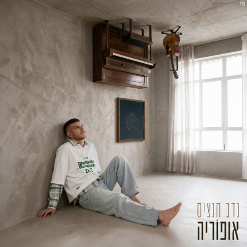 נדב חנציס נדב חנציס