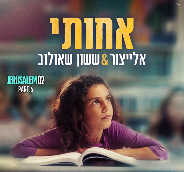 יאיר אלייצור וששון איפרם שאולוב